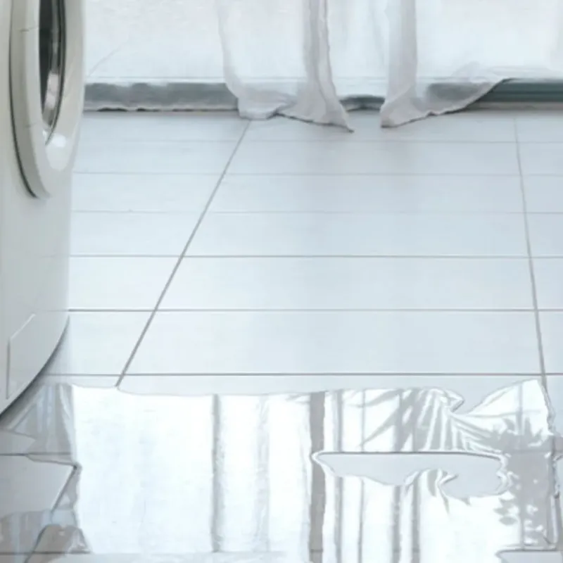 Appliance Leak Cleanup in Alto, GA