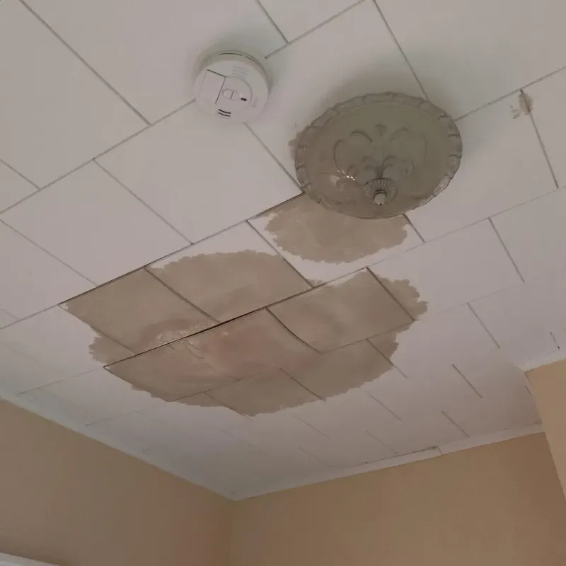 Ceiling Water Damage Repair in Alto, GA