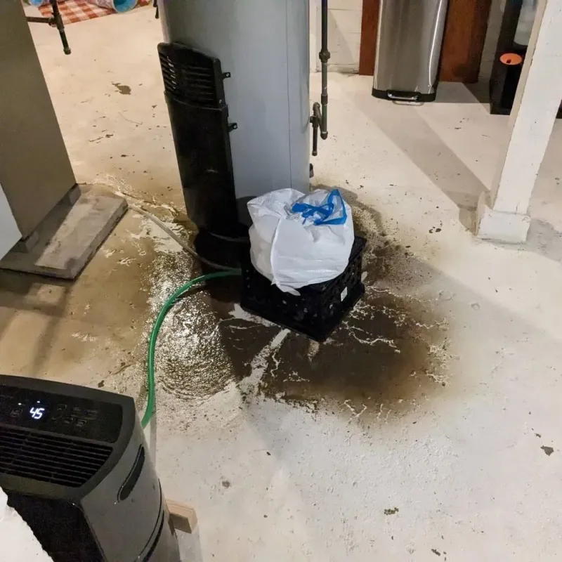 Sewage Backup Cleanup Service in Alto, GA